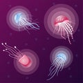 Glowing jellyfish on a pink neon background