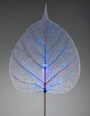 Glowing Data Veins on a Translucent Skeleton Leaf Royalty Free Stock Photo