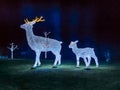 Glowing deer sculptures at Soho Square at night in Sharm El Sheikh, Egypt Royalty Free Stock Photo