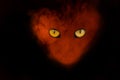 Glowing demon head from an orange cigarette steam in a heart-shaped portrait with big eyes