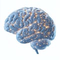 Glowing digital brain visualization with intricate neural networks and luminous connections, symbolizing neuroscience, AI, and
