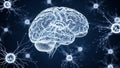 Glowing digital representation of a human brain with interconnected neural network pathways and synapses Keywords Royalty Free Stock Photo