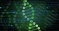 Glowing DNA helix spiraling vertically in digital display, showing green nodes, rungs and data Royalty Free Stock Photo