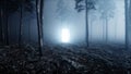 Glowing door in fog night forest. Light portal. Mistic and magic concept. 3d rendering. Royalty Free Stock Photo