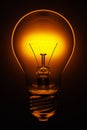 Glowing electric lightbulb 3d render Royalty Free Stock Photo