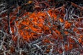 Glowing embers and ashes in a fire Royalty Free Stock Photo