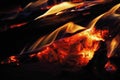 GLOWING EMBERS AND BURNING LOGS OF A HARDWOOD CAMPFIRE Royalty Free Stock Photo