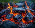 Glowing embers in a campfire