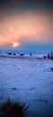 Glowing, evening winter, Wyoming sunset