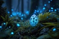 Glowing fantasy egg in magical forest at night Royalty Free Stock Photo