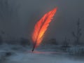 glowing feather, landscape, night, red, dramatic