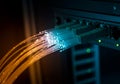 Glowing Fiber Optic Cables Connected to Network Server Royalty Free Stock Photo