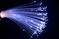 Glowing Fiber Optic Cables Representing High-Speed Data Transfer Royalty Free Stock Photo