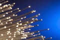 Glowing Fiber Optic Channels Closeup Photo Royalty Free Stock Photo