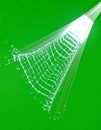 Glowing Fiber Optic Network Structure on Green Screen Royalty Free Stock Photo