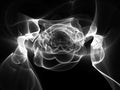 Glowing flame fractal curves black and white Royalty Free Stock Photo