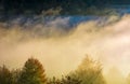 Glowing fog rise over the forest on hillside