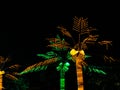 Glowing Garden at Sardar Sarovar Dam Gujrat