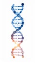 Glowing Genetic Code Illustration Royalty Free Stock Photo