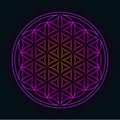 Glowing Geometrical Flower of Life