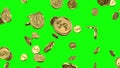 Glowing gold coins fall on a green background from above. Glowing gold coins fall on a green background from above