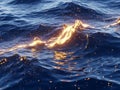 Glowing golden energy illuminates deep blue ocean wave ripples Royalty Free Stock Photo