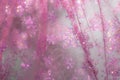 Glowing golden pink festive background with sparkles. Colored abstract blurry backgrounds. Chinese New Year and Christmas Royalty Free Stock Photo