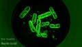 Glowing Green Bacteria in Microscopic View Royalty Free Stock Photo