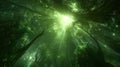 Glowing Green Forest With Bright Light Rays Royalty Free Stock Photo