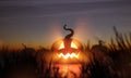 Glowing Hallowwen Pumpkin In A Field At Night Royalty Free Stock Photo