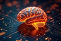 Glowing Human Brain Anatomy on a Circuit Board with Warm Bokeh Background Close Up