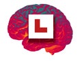 GLOWING HUMAN BRAIN WITH RED LEARNER L PLATE