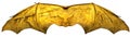 Glowing Isolated BatWings Royalty Free Stock Photo