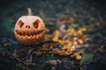 Glowing Jack O Lantern, with an evil face. Carved pumpkin for Halloween on tree overgrown with mushrooms in mysterious