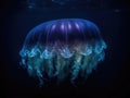 Glowing jellyfish in dark abyss