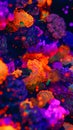 Luminiscent coral reef Royalty Free Stock Photo