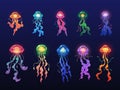 Glowing jellyfishes. Exotic sea creatures, deep water ocean animals, transparent luminous objects, beautiful color