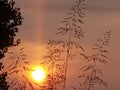 Glowing Kansas sunset