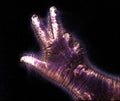 Glowing kirlian coronal aura photography with blue and purple colors of a male human hand Royalty Free Stock Photo