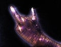 Glowing kirlian coronal aura photography with blue and purple colors of a male human hand Royalty Free Stock Photo