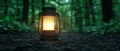 Glowing lantern in the dark forest Royalty Free Stock Photo