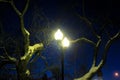 Glowing lanterns, original shape against the dark sky