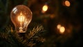 Glowing light bulb on Christmas tree with bokeh background. Royalty Free Stock Photo