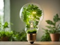 Glowing light bulb with green plant inside. Alternative energy concept Royalty Free Stock Photo