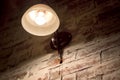 Glowing light bulb on wall Royalty Free Stock Photo