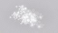 Glowing light effect with many glitter particles isolated on transparent background. Vector starry cloud with dust