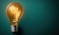 Glowing lightbulb on green background, idea innovation creativity concept Royalty Free Stock Photo