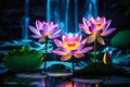 Glowing lotus flowers on a pond Royalty Free Stock Photo