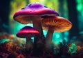 Magic mushrooms in an enchanted forest. Royalty Free Stock Photo