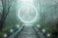 A glowing magical portal on a track going through a mysterious forest. On a spooky, foggy winters day in the countryside